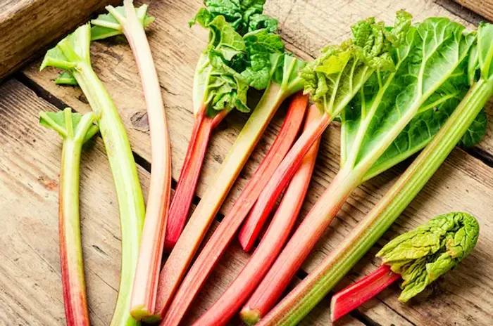 rhubarb